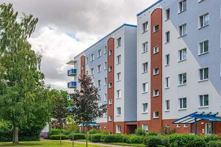 Wohnung zum Mieten in Rostock 211,00 € 27.56 m²