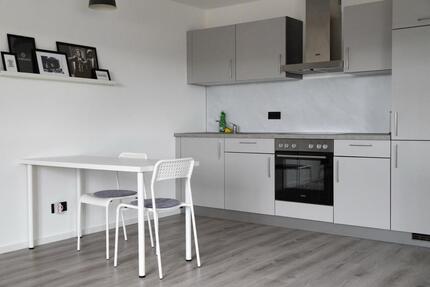 Möblierte Neubau 1-Zimmer Wohnung mit EBK und Tageslichtbad. - Ehningen