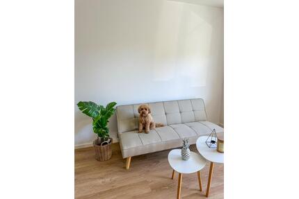 City - Oase in Darmstadt - möblierte Wohnung (2-Zimmer mit EBK)