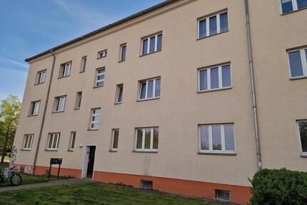 Mit dem Frühling in die neue Wohnung - leben im Stadtteil Cracau! - Magdeburg Brückfeld