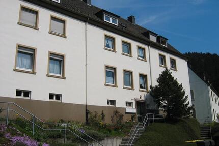 renovierte 2 Zimmer Wohnung in ruhiger Lage - Werdohl