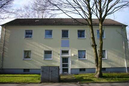 Wohnung zum Mieten in Gelsenkirchen 295,79 € 53 m²