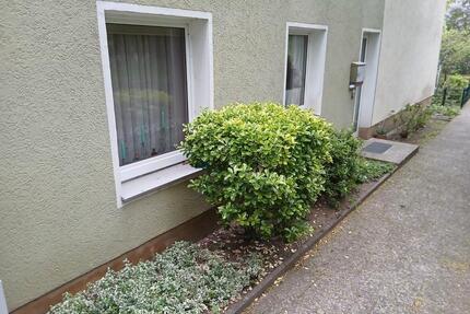 3 Zimmer Wohnung mit separaten Eingang Mietwohnung Wolfenbüttel