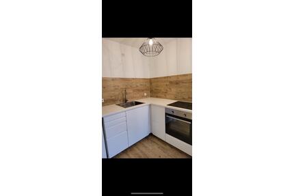 1 Zimmer Wohnung Senden Haustiere gern gesehen