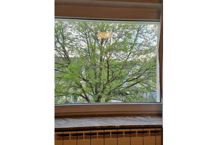 WG-Zimmer in Düsseldorf 630,00 € 12 m²