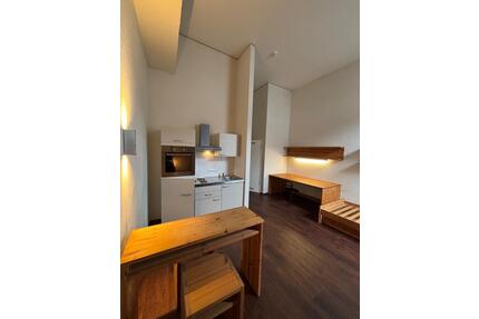 Möbliertes, modernes 1-Zimmer Apartment, top Lage, Denkmalschutz - Bamberg Bamberg-Ost