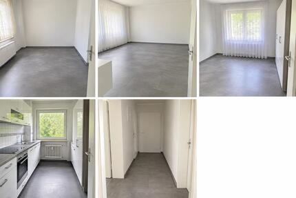 3 zimmer Wohnung mit Balkon - 400,00&nbsp;EUR Kaltmiete, ca.&nbsp; 65,00&nbsp;m&sup2; in Werdohl (PLZ: 58791)