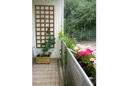 Schöne 2 Zimmer Wohnung in Reinheim