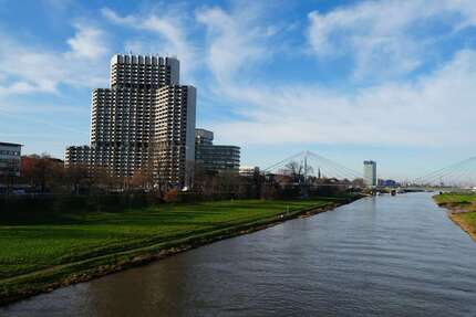 Wohnung zum Mieten in Mannheim 490,00 € 33 m²