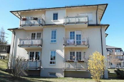 Schöne helle 1-Zimmer -Wohnung in sehr ruhiger u. grüner Hanglage - Radebeul