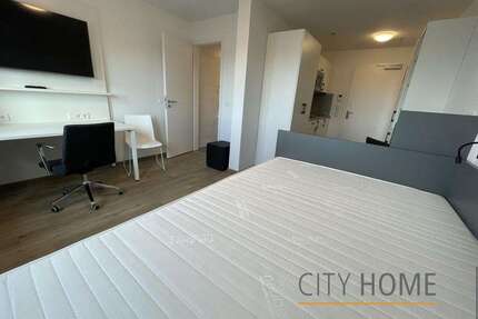 Wohnen auf Zeit in Mainz 790,00 €