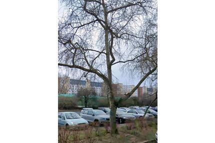 Mietwohnung - 580,00&nbsp;EUR Kaltmiete, ca.&nbsp; 66,00&nbsp;m&sup2; in Magdeburg (PLZ: 39126) Barleber See