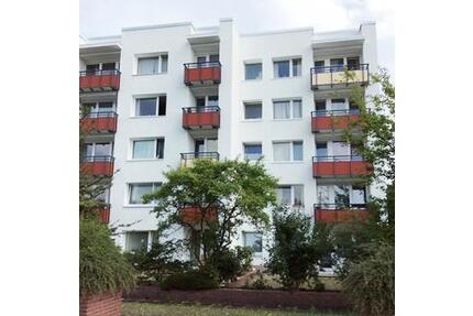 Frisch saniert | 2-Zimmer-Wohnung - Hamburg Altona