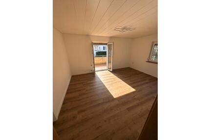 ERSTBEZUG ! Großzügige 2-Zimmerwohnung mit EBK und großem Balkon - Stuttgart Zuffenhausen