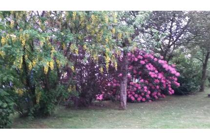 3 Zimmer Wohnung nahe der Bruchertalsperre - Wipperfürth