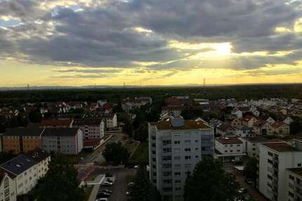 Wohnung zum Mieten in Viernheim 500,00 € 36 m²
