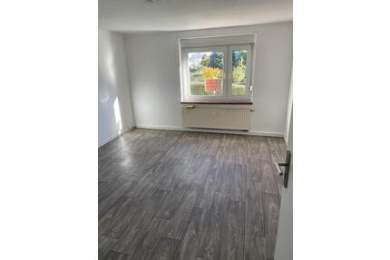 Schöne helle 3Raumwohnung 3 Zimmer Großweitzschen mit Stellplatz - Döbeln