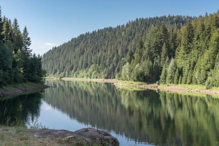 Gemütliche & ruhige 2 Zimmer Wohnung Nähe Aggertalsperre EBK & Stellplatz - Gummersbach Berstig Süd