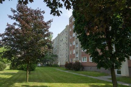 Praktische 3-Zimmer-Wohnung - 629,00&nbsp;EUR Kaltmiete, ca.&nbsp; 64,27&nbsp;m&sup2; in Dresden (PLZ: 01169) Cotta
