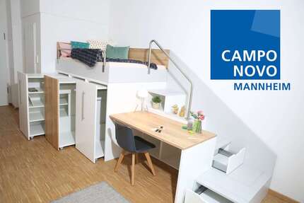 Wohnung zum Mieten in Mannheim 530,00 € 26.56 m²