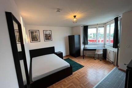 City Apartment an der TH Ohm FAU & Whd See möbliert – Dürrenhof - Nürnberg Gleißhammer