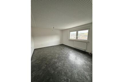 3-Zimmer Wohnung, 60m2, frisch renoviert - Schonungen Forst