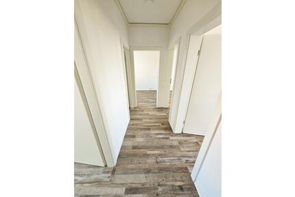 Charmante 3 Zimmer Wohnung mit verglastem Balkon in Top Lage – modern, hell & mitten im Grünen! - Halle (Saale) Gesundbrunnen