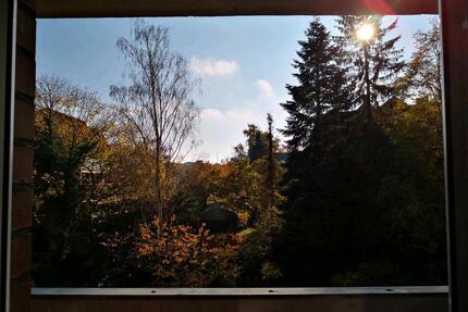 2 Zimmer Wohnung Hannover Zentrumnahe