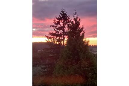 Zeitvermietung - Uninahe frisch renovierte 2,5 Zimmer Wohnung - Witten Heven