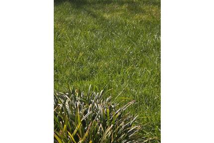 Büro,Keller, 2 Zimmer - 1.200,00&nbsp;EUR Kaltmiete, ca.&nbsp; 50,00&nbsp;m&sup2; in Münster (PLZ: 48143)