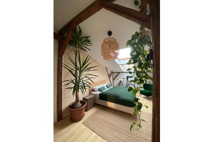 1,5 Zimmerwohnung KTV - 588,00&nbsp;EUR Kaltmiete, ca.&nbsp; 44,00&nbsp;m&sup2; in Rostock (PLZ: 18057) Hansaviertel