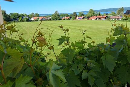 Frei ab sofort: Privatzimmer mit Duschbad, möbliert, Seeblick - Dießen am Ammersee