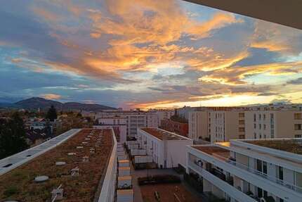 Wohnung zum Mieten in Freiburg im Breisgau 510,00 € 36 m²