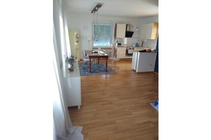 Helle und ruhige, renovierte EG-Wohnung mit Garten Tiere erlaubt - Ludwigshafen am Rhein Rheingönheim