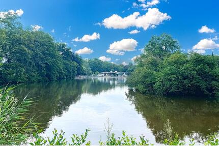 Ideal für Senioren - Barrierefreie 2-Raum-Wohnung am Pelzmühlenteich mit EBK & sonnigem Balkon - Chemnitz Rabenstein