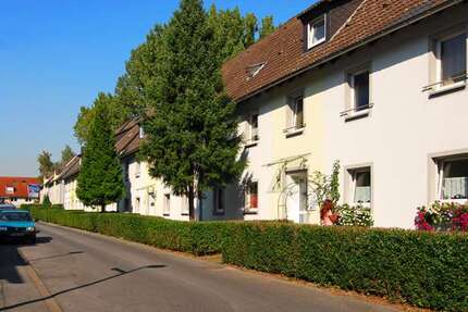 Wohnung zum Mieten in Gelsenkirchen 359,00 € 46.97 m²
