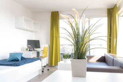 Wohnen auf Zeit in Potsdam 845,00 €