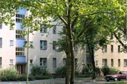 WG - Zimmer in Berlin Britz - ruhigeordentliche Mitbewohnerin
