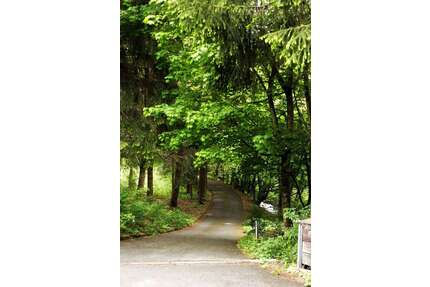 Wohnen auf Zeit in Altenau 600,00 €