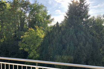 Helle 3 Zimmer Wohnung mit ruhiger Westterrasse in Bogenhausen Denning - München