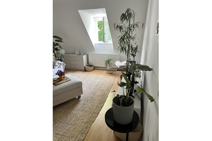 Gemütliches 16m2 Zimmer in 2er WG-Zwischenmiete mit Hündin Rosa - Aachen
