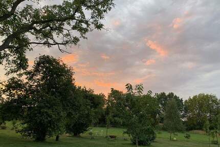MÜNSTER !! Wohnen im Grünen und doch zentral- 190 qm 1.OG 3 Schlafzimmer Balkon