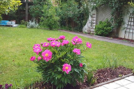 Möblierte 2 Zimmer Wohnung mit Garten im Osten von München, S4 S6 - Zorneding bei München