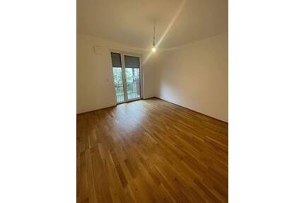 Helle 2-Zimmer mit gr. Balkon und EBK - Stein