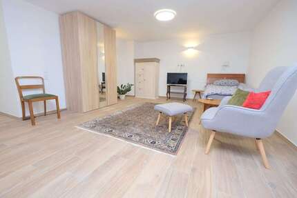 Wohnen auf Zeit in Mainz 850,00 €