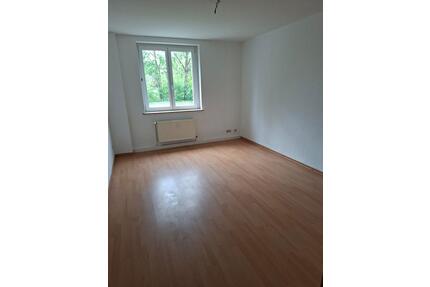 2 Zimmer Wohnung im Erdgeschoss mit Wanne & Tageslichtbad! #DD141 - Freital