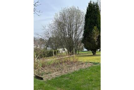 Schöne Wohnung in Meinerzhagen ab April 2026 * 2 Zimmer * 47qm