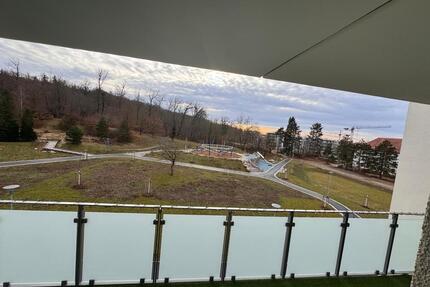 4-Zimmer Wohnung mit 3 Schlafzimmern, 2 Balkonen - Darmstadt Bessungen