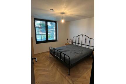 Mitbewohnerin - Berufstätigen-3er-WG in großer Maisonette-Wohnung - Friedrichshafen Allmannsweiler