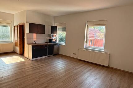 1 Zimmer Wohnung mit Einbauküche - Bad Grund (Harz)